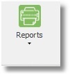TD-Ribbon-Reports6.jpg